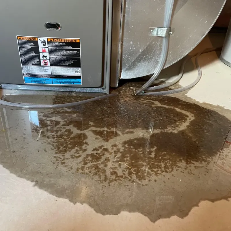 Appliance Leak Cleanup in Williston, FL